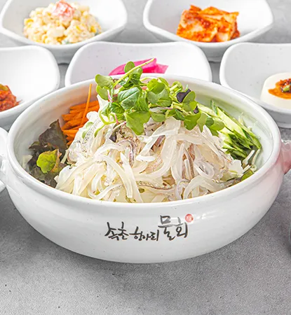 鱿鱼生鱼盖饭 — Sokcho Hangari Mulhoe, Sokcho, Korea