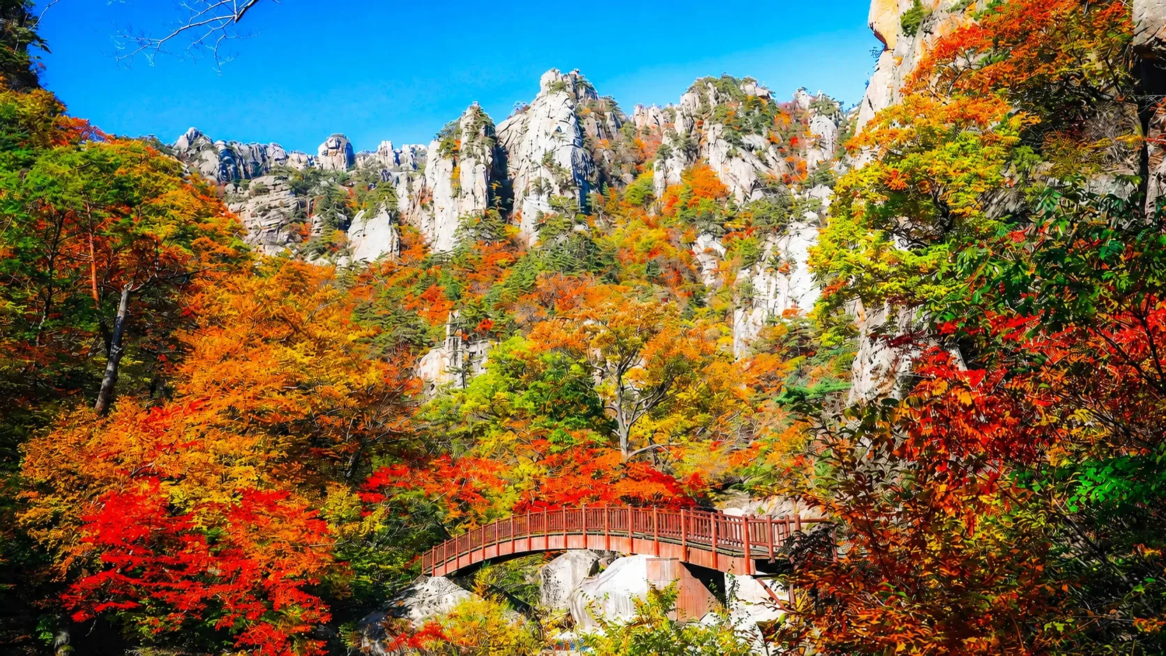 雪岳山の紅葉 完全ガイド — 見頃の時期、コース別の難易度、混雑を避ける方法