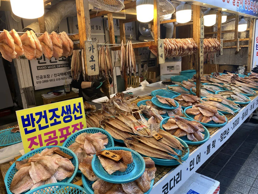 시장 좌판의 반건조 생선. 코다리·가자미·임연수가 이렇게 널려 있으면 속초에 온 겁니다.