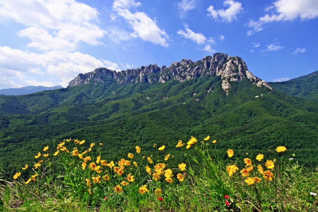 울산바위. 여섯 개의 봉우리가 병풍처럼 이어진 이 바위 위에 올라설 수 있습니다.